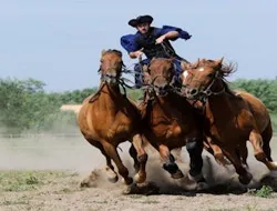 Puszta Full-Day Tour from Budapest including Horse Show & Lunch